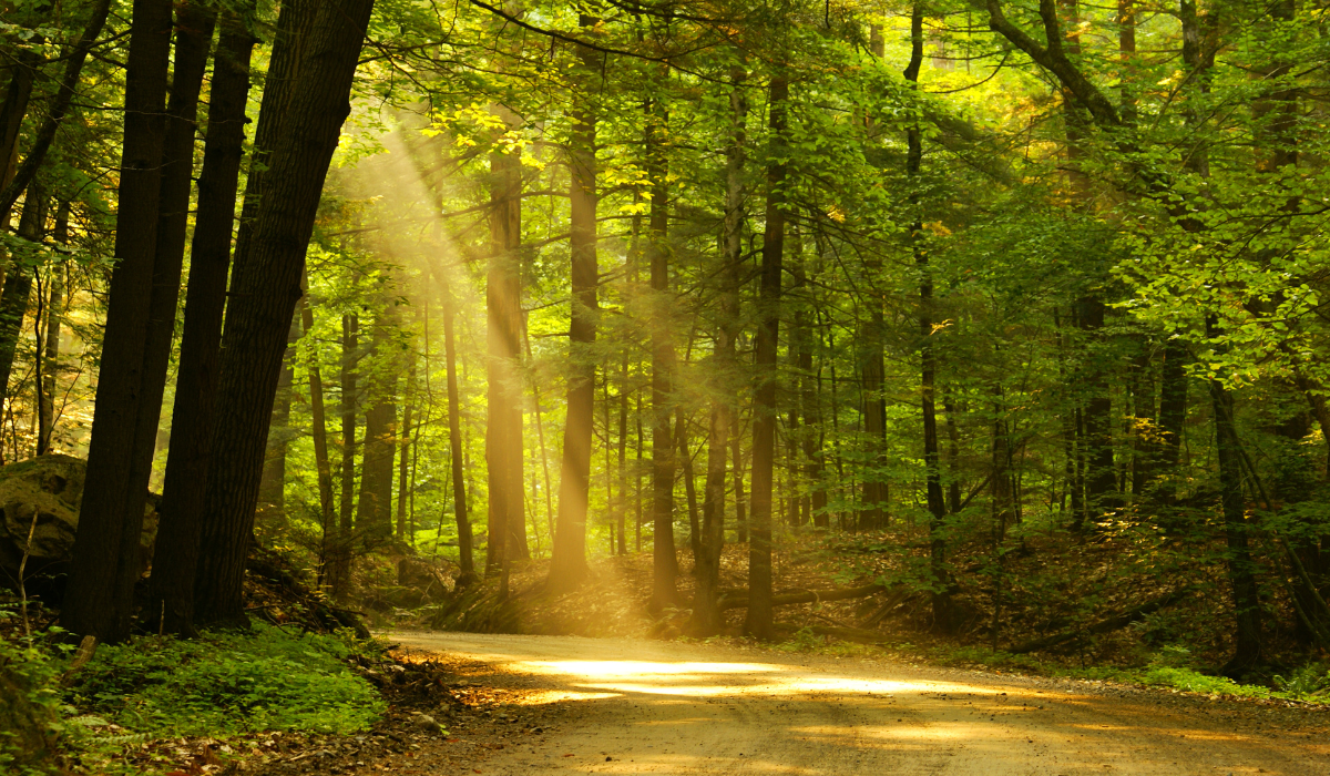 Serving Family Offices as a Philanthropic Partner